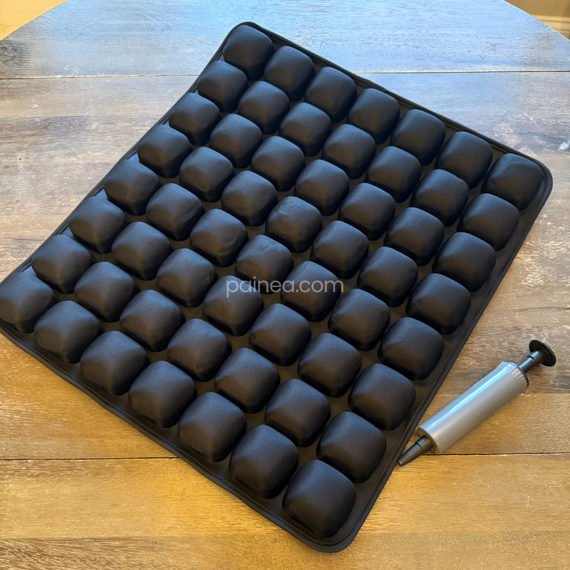 Painea Cushion