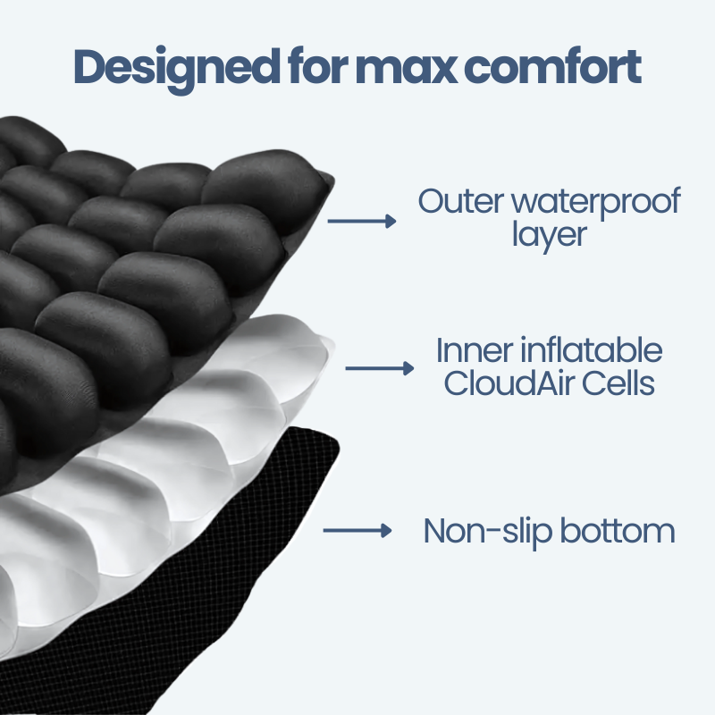 Painea Cushion