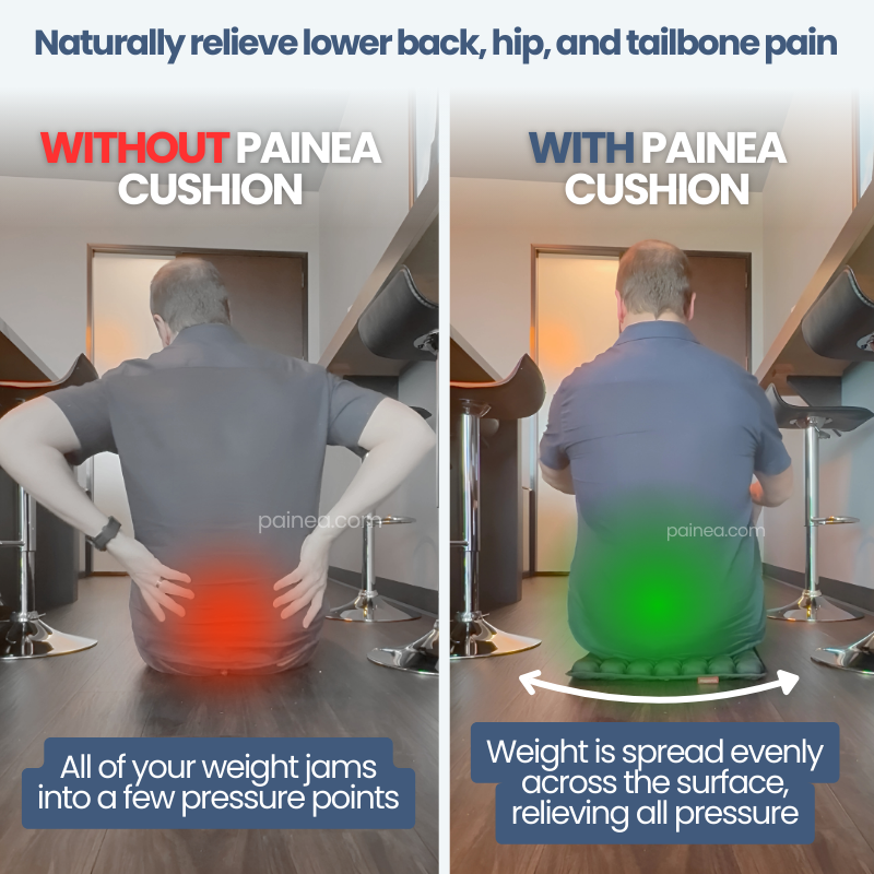 Painea Cushion